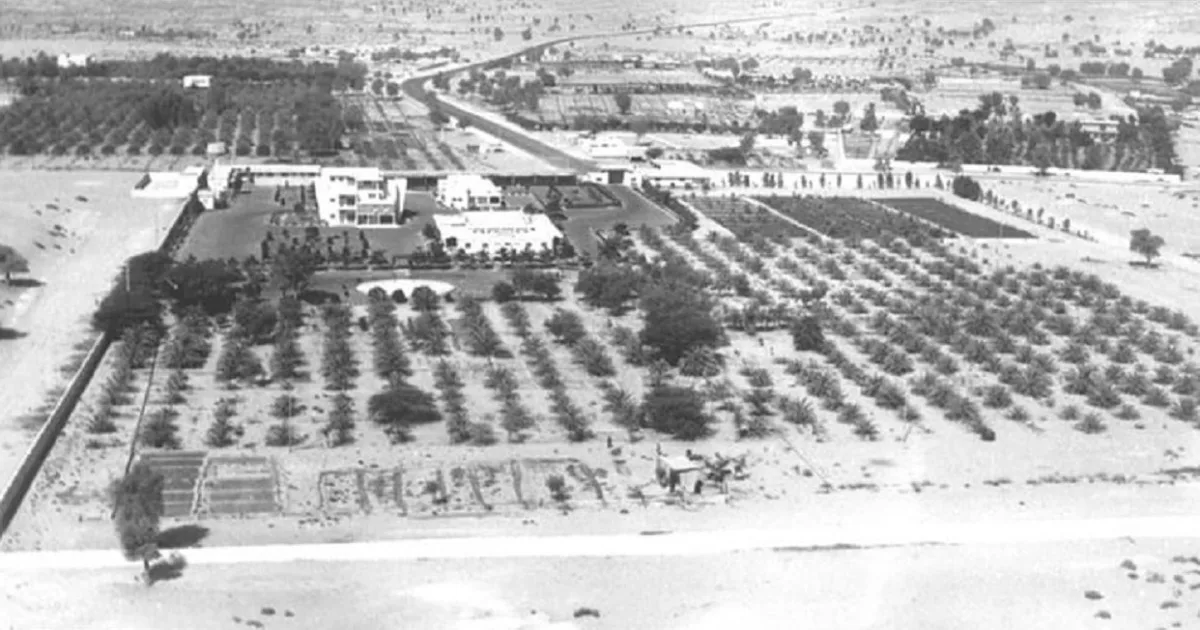 قصر الشيخ زايد بن سلطان في الخوانيج دبي 1976